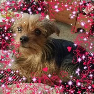 Meet your Posher, Sheri